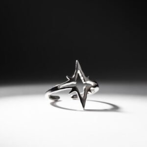 The North Star