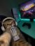 cat gaming